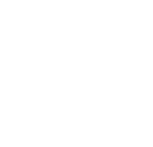 Logo - Le Ballon Vert Cie